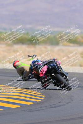 media/Oct-09-2022-SoCal Trackdays (Sun) [[95640aeeb6]]/Turn 14 Backside (1125am)/